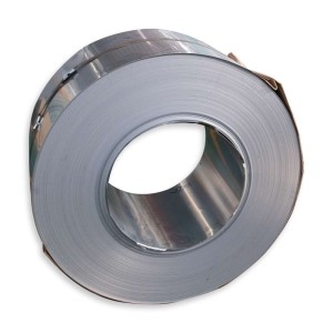 Cold Rolled 309 310s Stainless Steel Coil