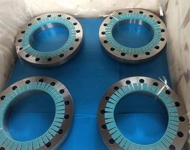 شفة الفولاذ المقاوم للصدأ Stainless steel flange