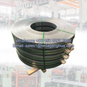 Stainless Steel Edging Strip