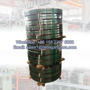 Stainless Steel Strip 1mm